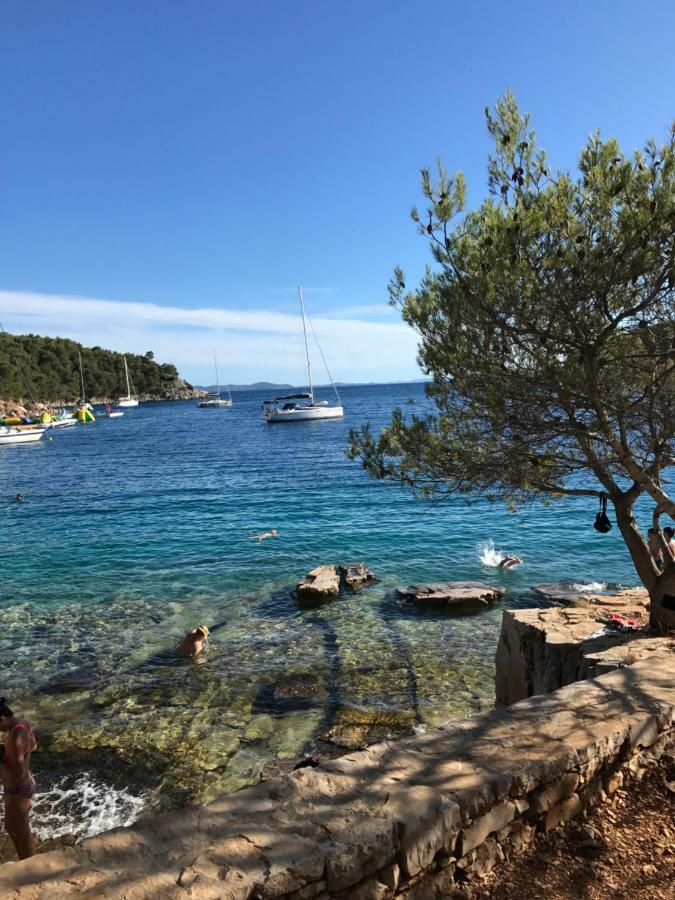 Lavanda Milna  Bagian luar foto